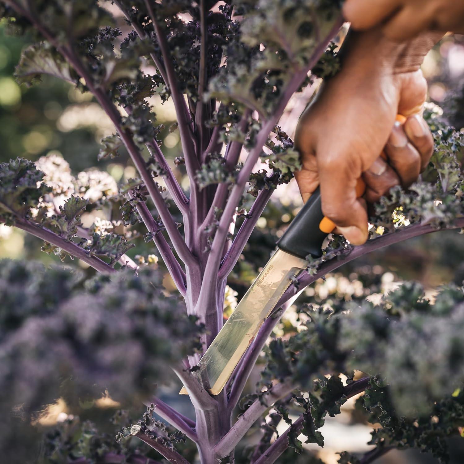 imageFiskars Harvesting Knife with Serrated Edge Gardening Hand Tool with Flat Tip Blade and Sheath Perfect for Thick Stalks and Stems6