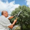 imageFiskars 23Inch Hedge Shears Bush Trimmer with PowerGear2 Technology that Multiplies Power for Less Effort SoftGrip Handles with ShockAbsorbing BumpersPowerGear2 Shock Absorbing 23 in
