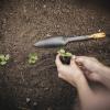 imageFiskars 3401101001 Seed Planting Trowel BlackNo Size