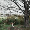 imageFiskars 716 ft Extendable 2in1 Pruner and Pole Saw For Tree Trimming Tree Trimmer with ChainDrive for Cutting Branches up to 125quot Diameter with More Power Garden ToolsPole Saw  Pruner