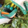 imageFiskars MicroTip Rose Pruning Shears 6quot Garden Shears NonStick Coated Stainless Steel Blade Gardening Scissors with SoftGrip HandlePruning Shears Comfort Loop Handles