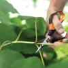 imageFiskars MicroTip Rose Pruning Shears 6quot Garden Shears NonStick Coated Stainless Steel Blade Gardening Scissors with SoftGrip HandlePruning Shears Comfort Loop Handles
