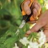 imageFiskars MicroTip Rose Pruning Shears 6quot Garden Shears NonStick Coated Stainless Steel Blade Gardening Scissors with SoftGrip HandlePruning Shears Comfort Loop Handles