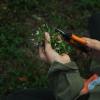 imageFiskars MicroTip Rose Pruning Shears 6quot Garden Shears NonStick Coated Stainless Steel Blade Gardening Scissors with SoftGrip HandlePruning Snips