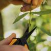 imageFiskars MicroTip Rose Pruning Shears 6quot Garden Shears NonStick Coated Stainless Steel Blade Gardening Scissors with SoftGrip HandlePruning Snips Non Stick 2 Pack