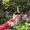 imageFiskars Pruning Shears Bypass Pruner that Cuts Through Stems up to 34Inch PowerGear Technology For More Power on Every CutSoftgrip