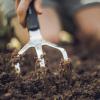 imageFiskars Xact Hand Rake Heavy Duty Gardening Hand Tool with Ergonomic Handle and Hanging Hole for Storage Stainless Steel Head and Tines Perfect for Maintaining a Raised Garden BedCultivator Pack of 4