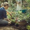 imageFiskars Xact Hand Rake Heavy Duty Gardening Hand Tool with Ergonomic Handle and Hanging Hole for Storage Stainless Steel Head and Tines Perfect for Maintaining a Raised Garden BedCultivator