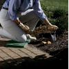 imageFiskars Xact Standing Bulb Planter 413 Inch SilverBulb Transplanter