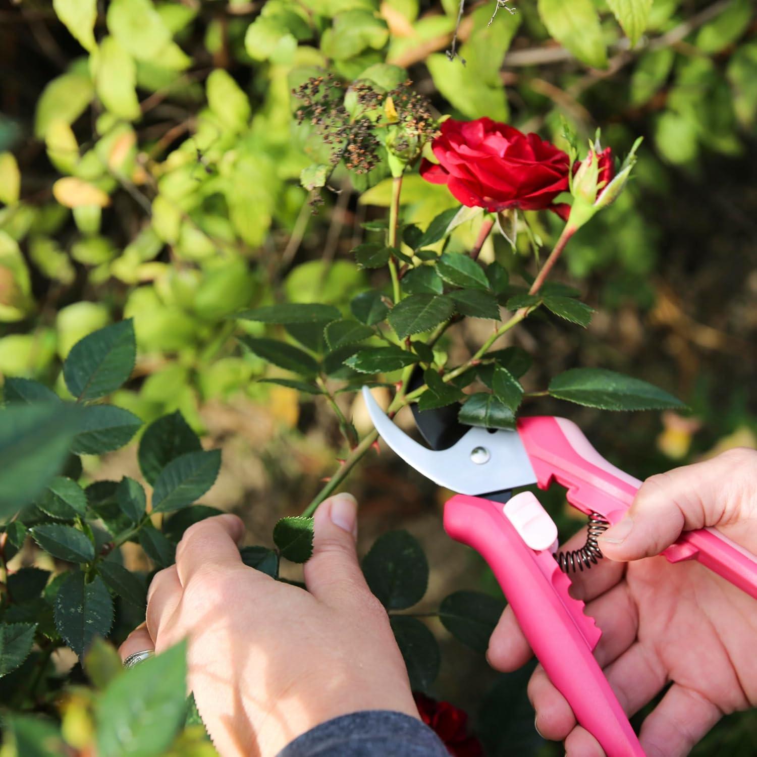 imageFiskars Floral Pruning Shears  Plant Cutting ScissorsGarden Clippers For Deadheading and Working with Flowers  Rose Petal PinkRose Petal Pink