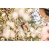 imageFiskars Bypass Garden Pruners L XSeries PowerGear P961 with Rolling Handle for Fresh Branches and Twigs NonStick Coated Stainless Steel Blades Length 222 cm BlackOrange 1057175Xseries P921