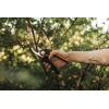 imageFiskars Bypass Garden Pruners L XSeries PowerGear P961 with Rolling Handle for Fresh Branches and Twigs NonStick Coated Stainless Steel Blades Length 222 cm BlackOrange 1057175Xseries P921