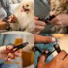imageFiskars Pet Small Pet Nail Clippers Cat and Dog Nail Clippers Precision Stainless Steel Blades ampamp SoftGrip Handle 425 OrangeBlack