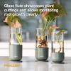 imageFiskars Plant Propagation Set 3 Pieces  Decorative Glass Propagation Vases with Metal Bases for Rooting Plant Cuttings and Hydroponic Displays