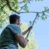 imageFiskars 713 ft Extendable Tree Pruner Telescoping Pole Pruner with 2 Cutting Modes for Fast amp Powerful Cuts Long Reach Tree Trimmer for High Branches amp Tall Trees Rotating Head Garden amp Yard Care5 ft RopeFree Pruner